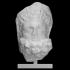 Bearded Hercules Head image