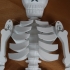 Dancing Skeleton image