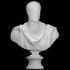 Unknown Bust 2 image
