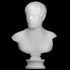 A Bust of a Young Man image
