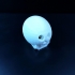 Dylan's Illuminated Skull image