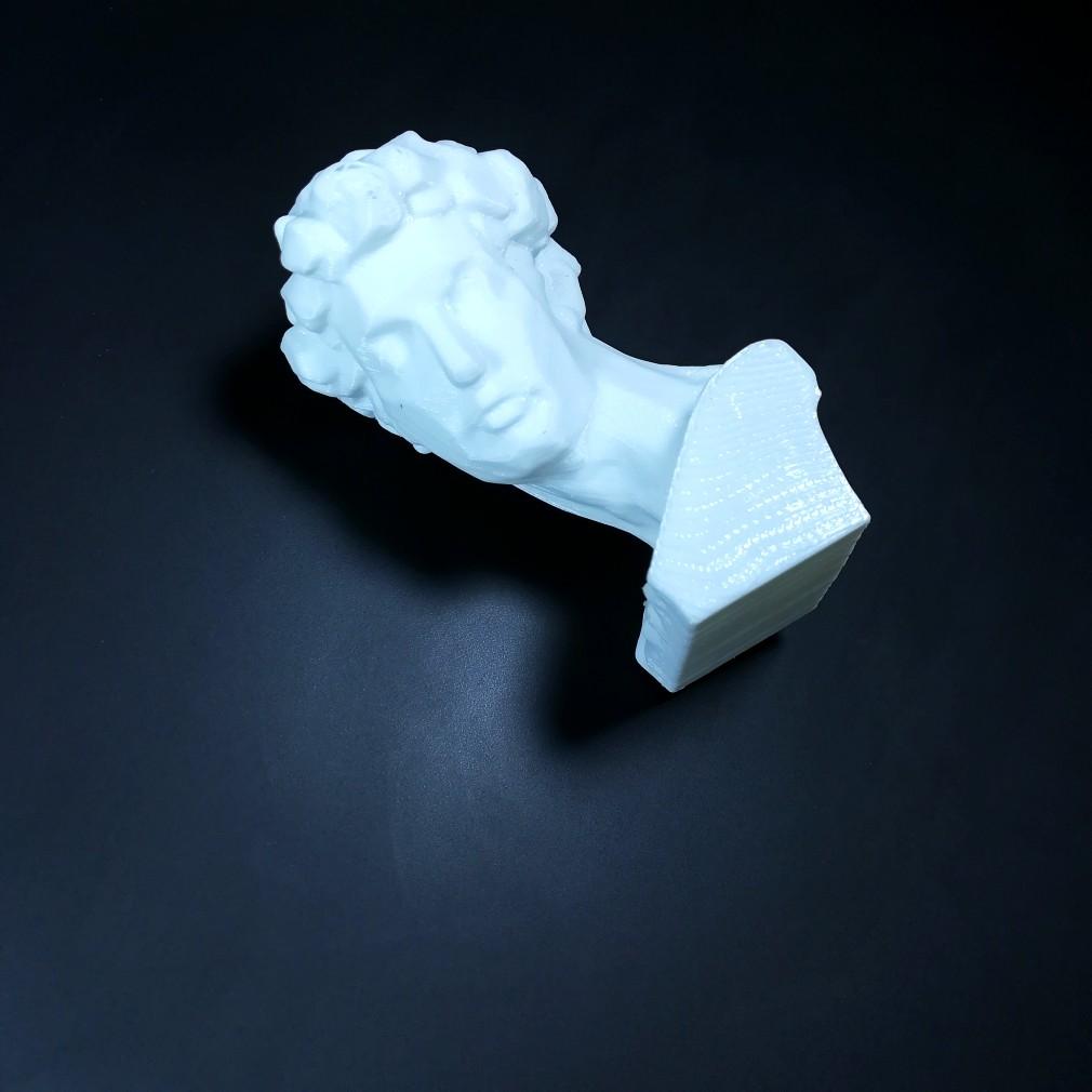Bust of Giuliano de Medici plaster model