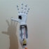 Humanoid Robotic Torso PROTO1 print image