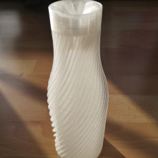Picture of print of MONEY BOX 01 - SPIRAL