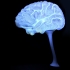 Radiant Brain from MRI image