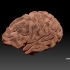 Radiant Brain from MRI image