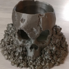 Picture of print of Skull Holder This print has been uploaded by Adam Stacy