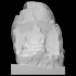 Hypothetical Olmec Head image