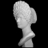 Portrait Bust of a Flavian Woman, The "Fonseca Bust" image