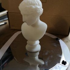 Picture of print of Head from a statue of an Amazon
