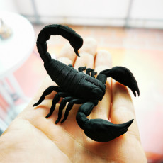 Picture of print of Scorpion 3D Print Model This print has been uploaded by Thomas Schmidt