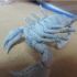 Scorpion 3D Print Model image