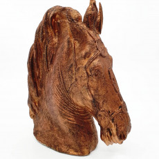 Picture of print of Horse Head from the Equestrian statue of Marcus Aurelius