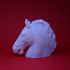 Horse Head from the Equestrian statue of Marcus Aurelius print image