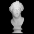 Bust of the Apollo Lykeios image