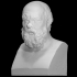 Portrait of Socrates image