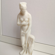 Picture of print of Capitoline Venus