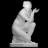 Crouching Venus image