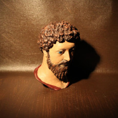 Picture of print of Bust of Marcus Aurelius