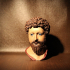 Bust of Marcus Aurelius print image