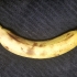 High Resolution Scan of a Banana. Yes, a Banana. image