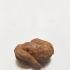 40 MYA Coprolite, Fossilized Turtle Feces image