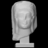 Head of a statue image