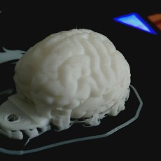 Picture of print of Brain keychain This print has been uploaded by EterneL