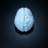 Brain keychain image
