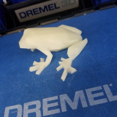 Picture of print of Low Poly Frog This print has been uploaded by Christina Pitman