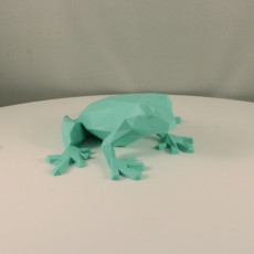 Picture of print of Low Poly Frog This print has been uploaded by Erwin Boxen