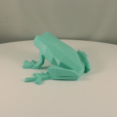 Picture of print of Low Poly Frog This print has been uploaded by Erwin Boxen
