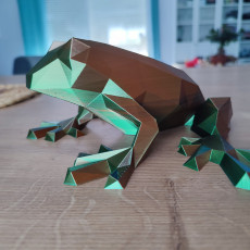 Picture of print of Low Poly Frog
