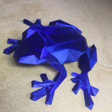 Picture of print of Low Poly Frog This print has been uploaded by Adam Barnsley