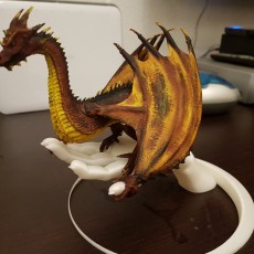 Picture of print of Dragonology