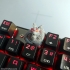 DBZ Shenron Mechanical keyboard Cherry Keycap image