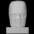 Olmec Head image