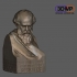 Socrates Bust image