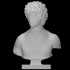 Bust of a Young Man image