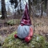 Bearded Gnome image