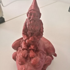 Picture of print of Gnome on frog (scan remix) This print has been uploaded by Filippo