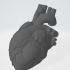 Anatomical Human Heart(Easier to print) image
