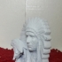 Indian Chief with Eagle image