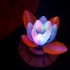 Servo Flower image