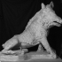 The Wild Boar, Porcellino image