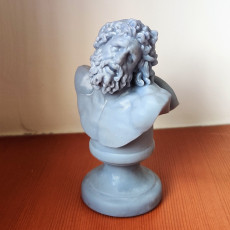 Picture of print of Bust of Laocoon