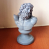 Bust of Laocoon print image