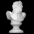 Bust of Laocoon image
