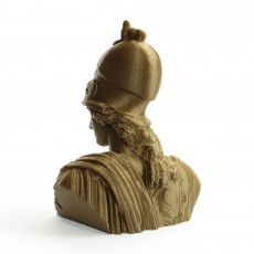 Picture of print of Bust of The Athena Pallas Giustiniani