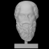 Head of Socrates image